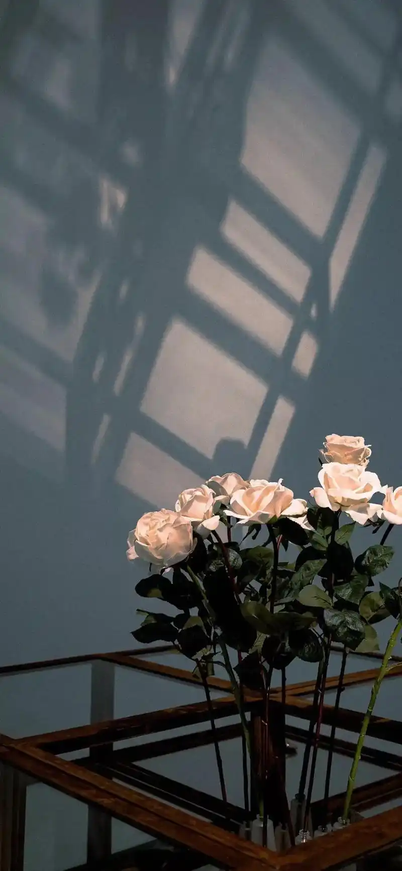 治愈系壁纸 #静物摄 - 抖音