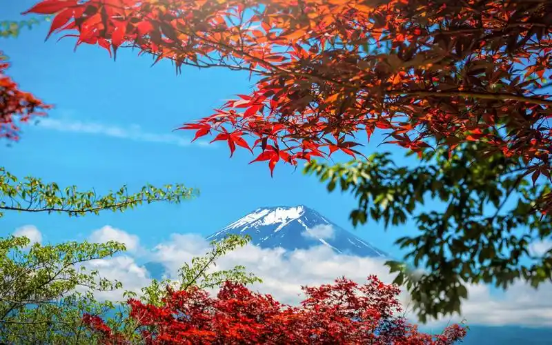 秋日的富士山唯美高清桌面壁纸