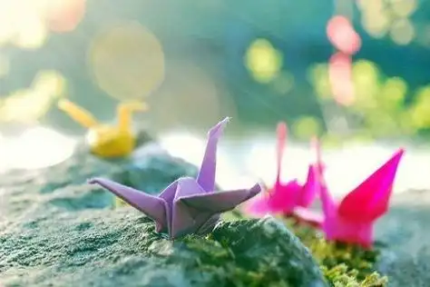 漂亮千纸鹤图片_带着祈愿的千纸鹤