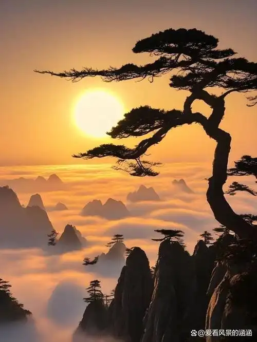 美图欣赏——黄山最美日落