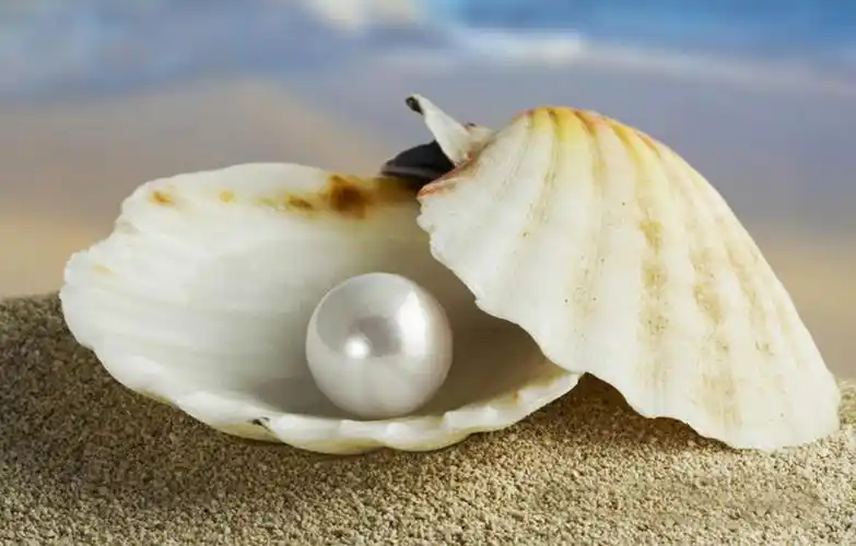 珍珠粉99% 400目纳米级 化妆品级原料 另有水解珍珠粉 全国包邮