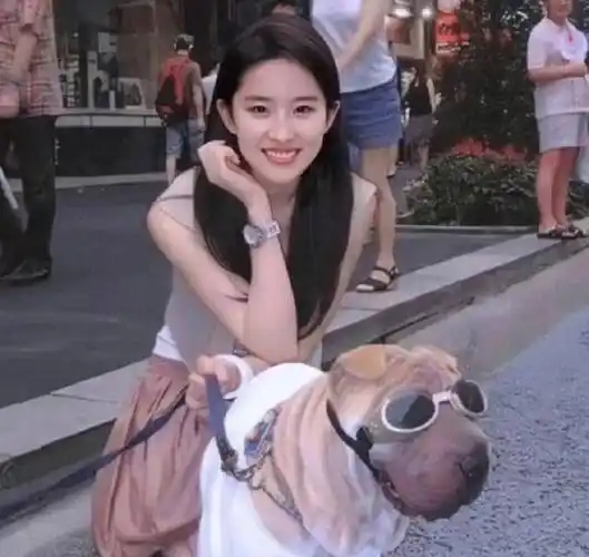 原创刘亦菲的胶原蛋白真持久只长年龄不长皱纹美得让人心服口服