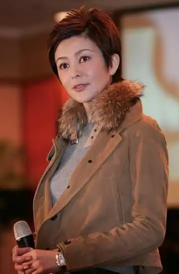 组图关之琳携新片做头亮相北京发布会