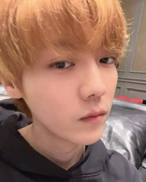 鹿晗ins晒金发自拍##鹿晗说减肥太难了不想减##星姐微博