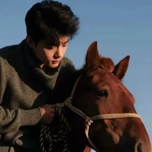 肖战最新微信头像