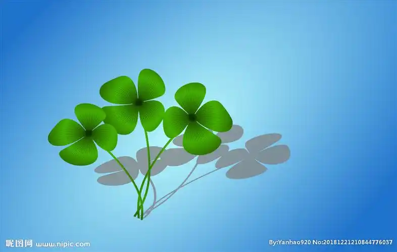 四叶草矢量素材图片