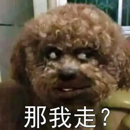 狗狗:那我走