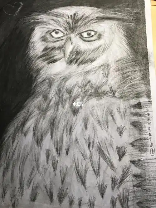 关于我画了一个海德薇