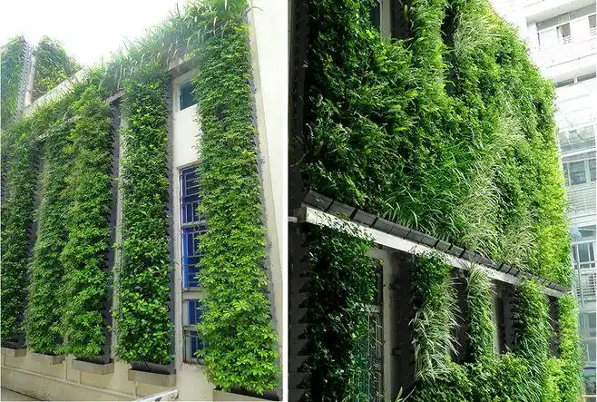 垂直绿化 立体绿化 建筑绿化 景观墙 建筑外墙设计 景观墙