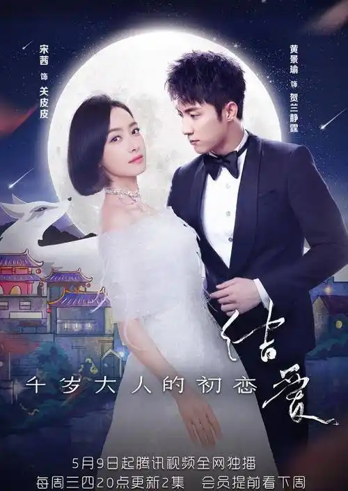 该剧是由刘一志,韩冬联合执导,宋茜,罗云熙领衔主演,徐开骋,丁一一,孙