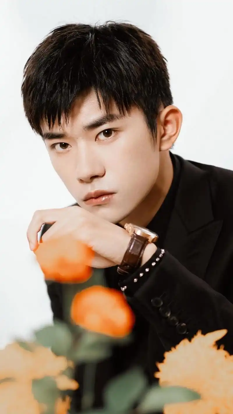 央视点赞的明星们 易烊千玺,杨紫,赵丽颖,张艺兴和胡歌等明星都曾获得