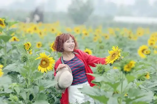 葵花美女,拍摄时间2020年6月21号