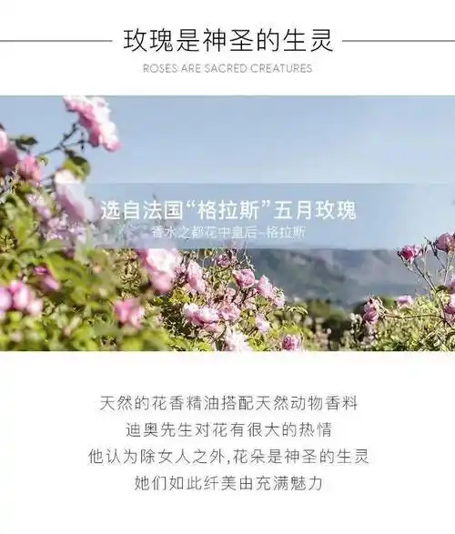 迪奥dior小样四件套399元随时截团真我浓香真我纯香花漾粉魅小巧玲珑