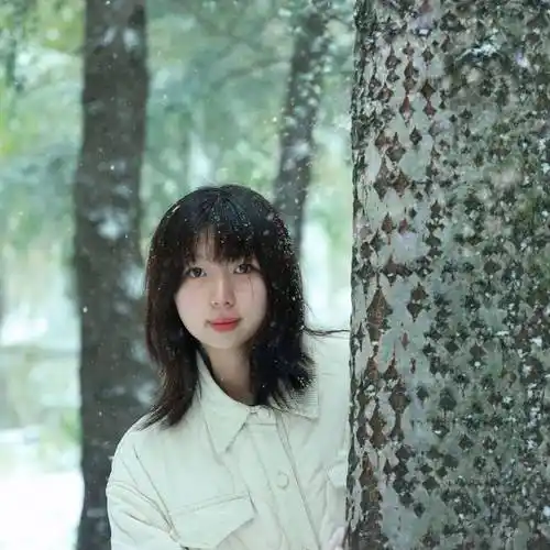 簌簌雪融有踪踏过留痕人车而行飞花片片皆披云裳与雪共舞楼宇亭台万物