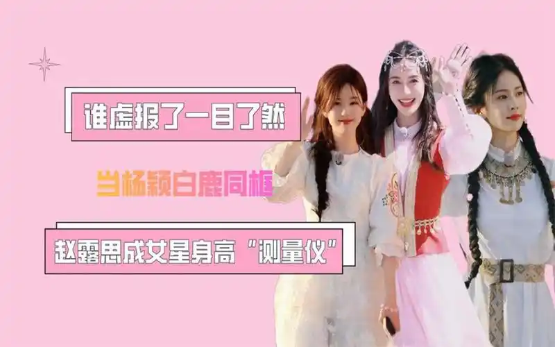 赵露思成女星身高"测量仪",当杨颖白鹿同框,谁虚报了一目了然