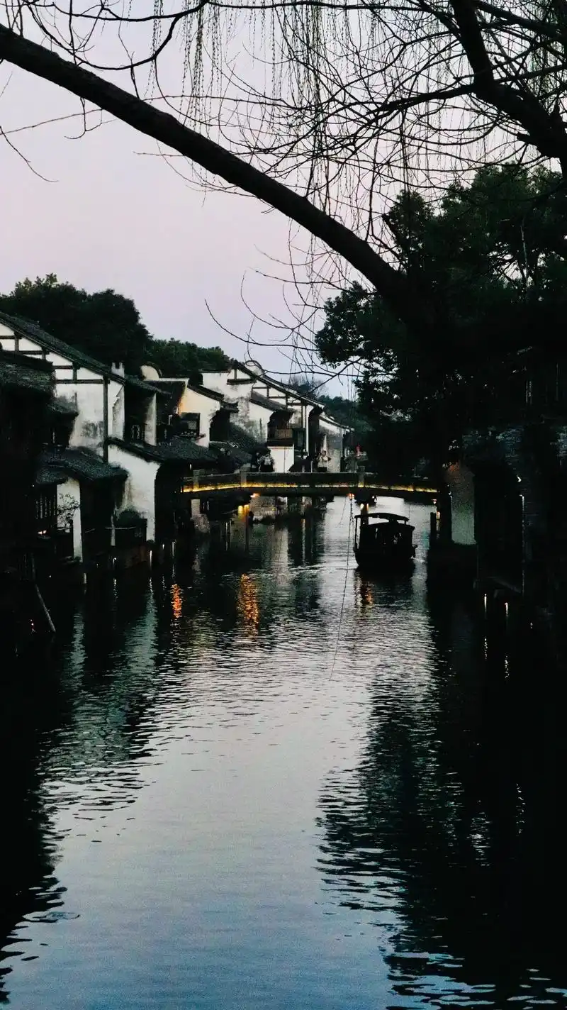 江南之地 乌瓦白墙 小桥流水.在青砖石桥上 #乌镇 #摄影  - 抖音