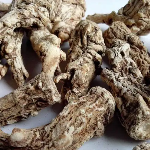 云南18怪 当归头500克包邮丽江深山当归