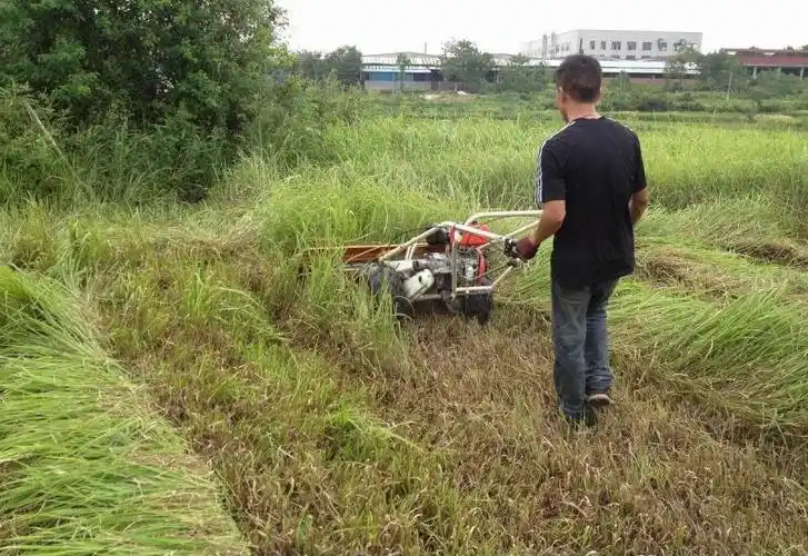 东光供应0432小型麦子收割机