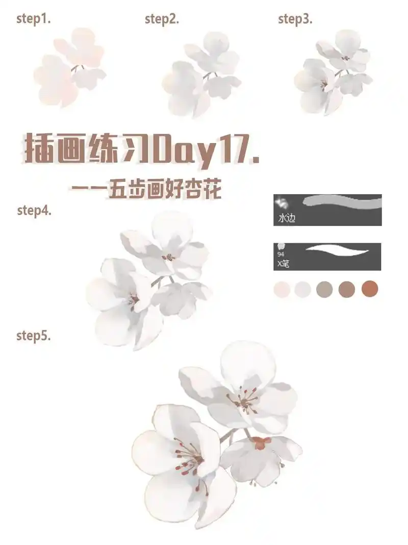【杏花画法】 1.剪影:画出杏花的 - 抖音