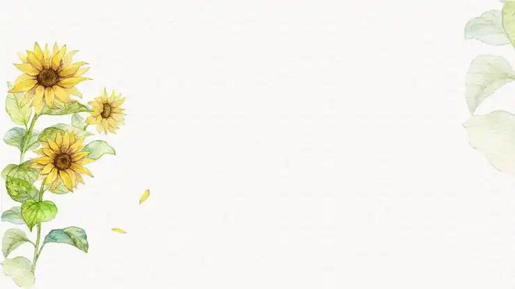 五张清新淡雅水彩向日葵ppt背景图片