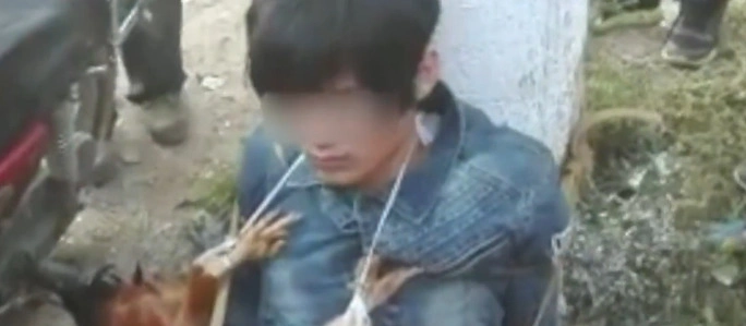 偷鸡贼被抓 遭扒裤子绑电线杆示众
