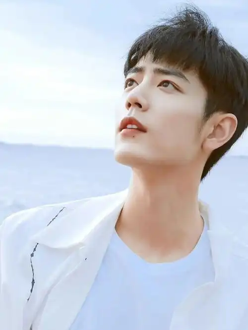 肖战520最新物料##肖战米色工装衬衫