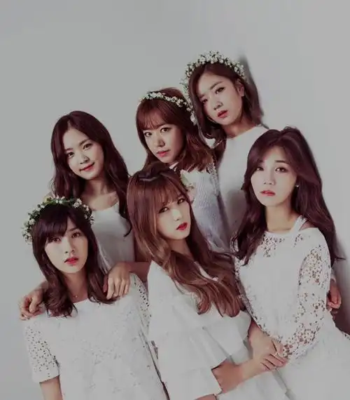 求告知这两张apink的照片上每个成员的名字!谢谢!