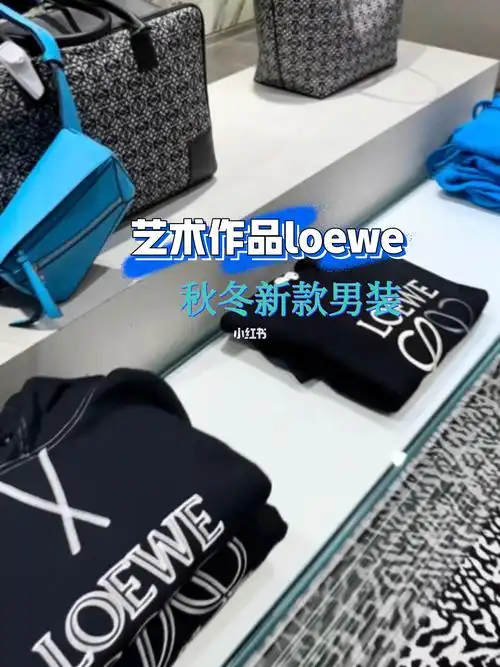 探店猫咪的艺术作品loewe秋冬男装