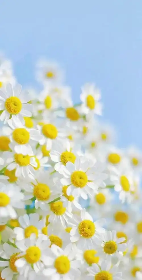 唯美配图/说说配图/治愈 ,说说配图 唯美(经典文案说说大全77治愈系