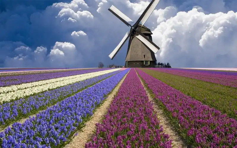 风车- 堆糖,美图壁纸兴趣社区