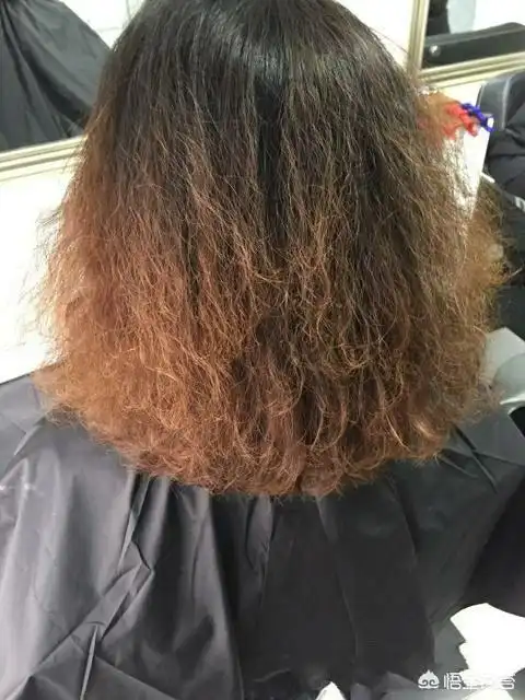 说实话这种发质也烫不了头发,受损超级严重在8度左右,就算是染发都会