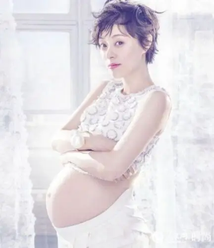 佟丽娅孕期晒自拍 女星怀孕照美美哒(11)