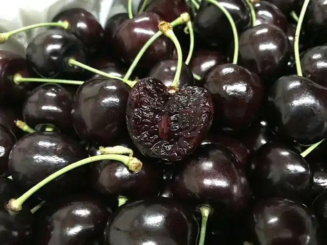 果东家水果新鲜,好吃,健康,果东家只为广大果粉朋友们提供最高品质,最