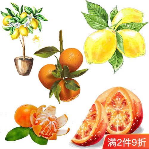 田园风格水彩手绘水果贴纸新鲜柠檬贴花防水自粘