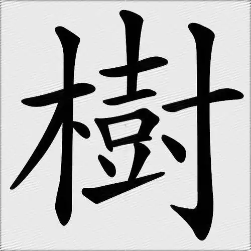 树什么意思解释,树字笔画笔顺,树拼音组词_竞价网
