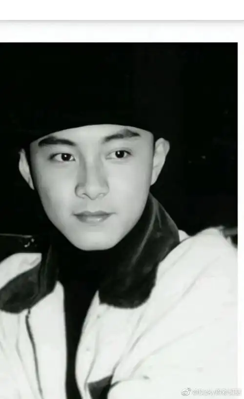 你是人间四月天春风十里不如你dk张卫健永远的男神