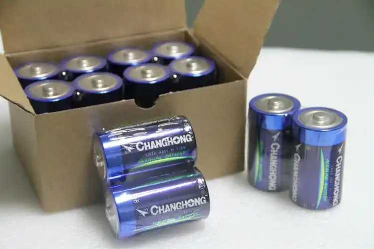 1号电池 长虹大号碱性电池 热水器燃气炉专用