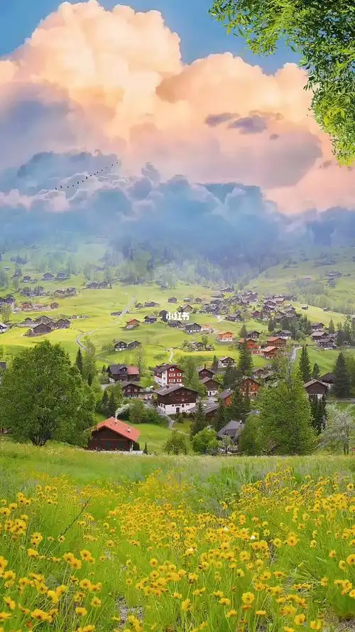 一起享受大自然的美  #治愈系风景  #动态壁纸