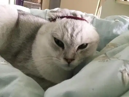 妈 头发扎得有点儿紧