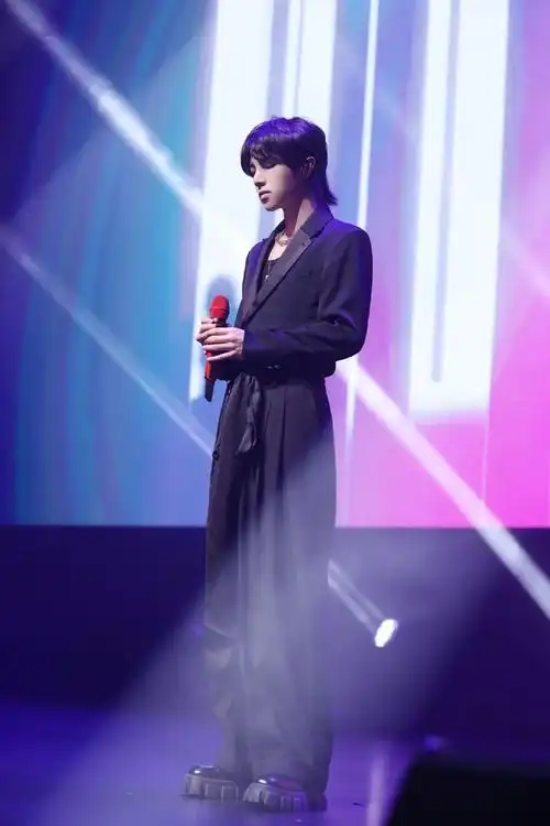 华晨宇壁纸花花出席时尚芭莎年度派对是优雅贵气的音乐小王子