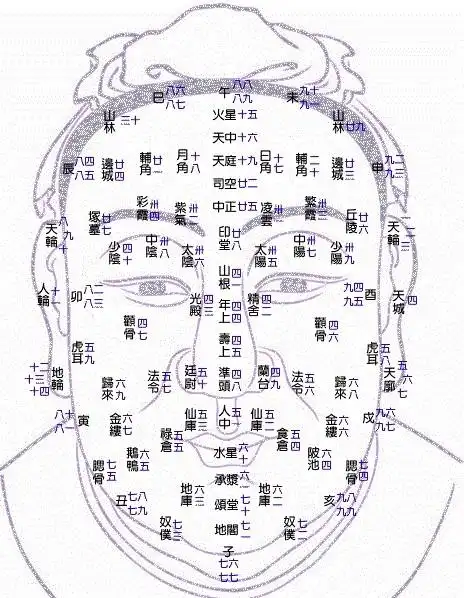 看面相首先要分析面部當中是哪一部份最為出色,然後對應開展時期,就能