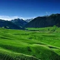 微信头像草原清新青青大草原唯美头像图片点击鼠标右键下载