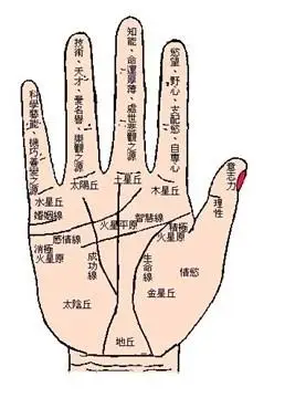 会让你好运不断的手相星纹