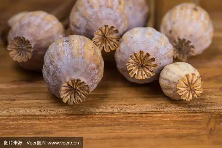 木头上的一束干罂粟花