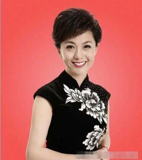 央视|主持人|刘芳菲_新浪新闻