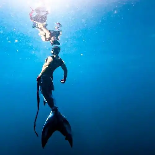 有人说人鱼都是女的,他却说,如果没有雄的人鱼,哪儿会有雌的美人鱼呢?