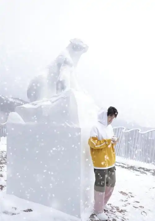 王俊凯堆雪人画面唯美,和柴犬漫步雪地之间,独自远眺