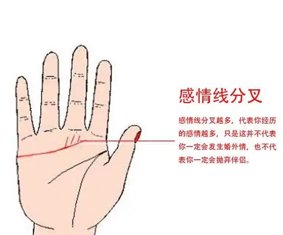 手纹流年上升线(手相流年算命百发百中)