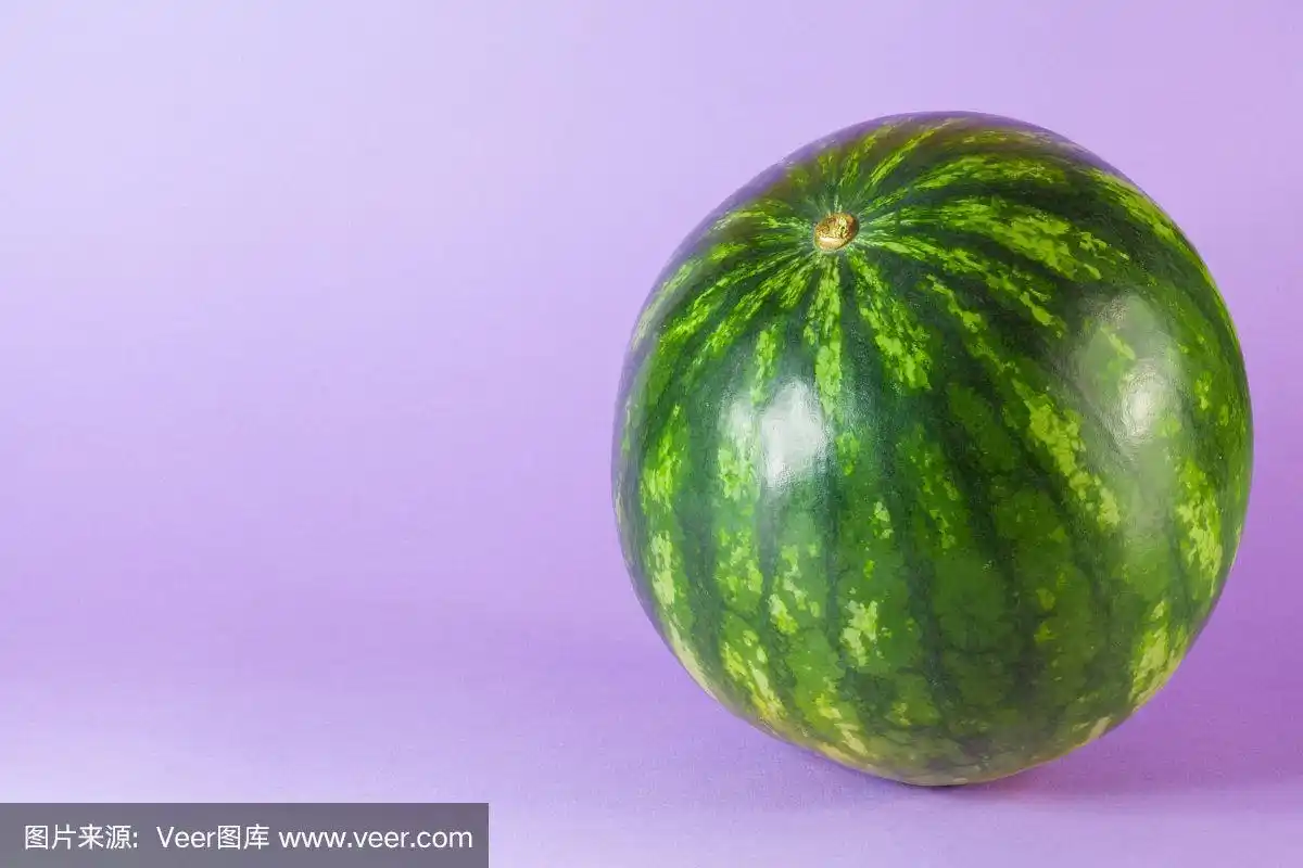 淡紫色背景上孤立的小西瓜