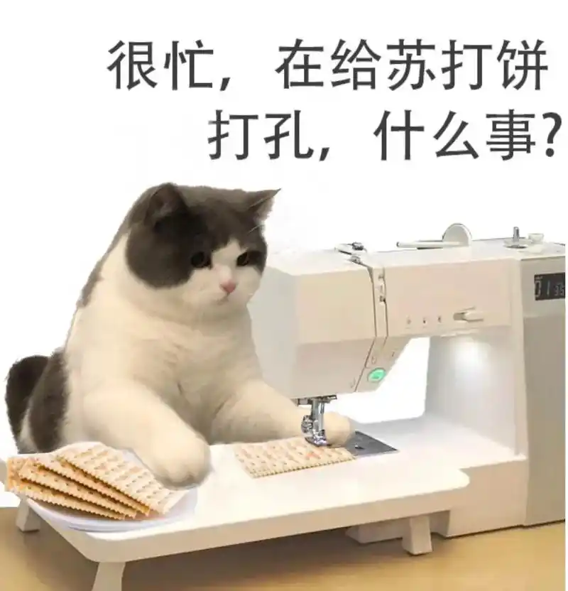 猫咪的迷惑行为 #铲屎官的乐趣 #表情包 - 抖音